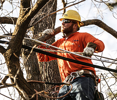 Lineman moving branches away from a power line